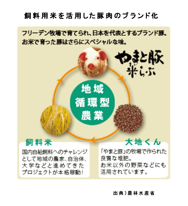 選ぶなら 人獣裁判 ヴェルコール 小林 正澤 1953年 初版 - 文学/小説 選ぶなら 人獣裁判 ヴェルコール 小林 正澤 1953年 初版 - 文学/小説
